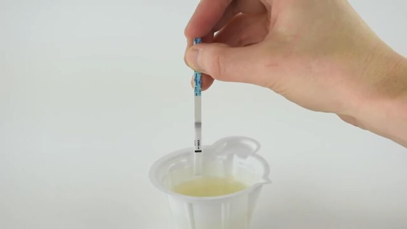 ovulation test